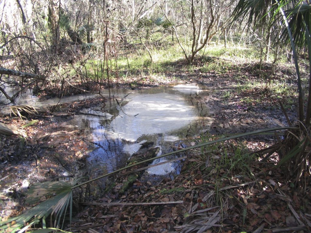 Snail Springs in Lake County Snail Springs in Lake County