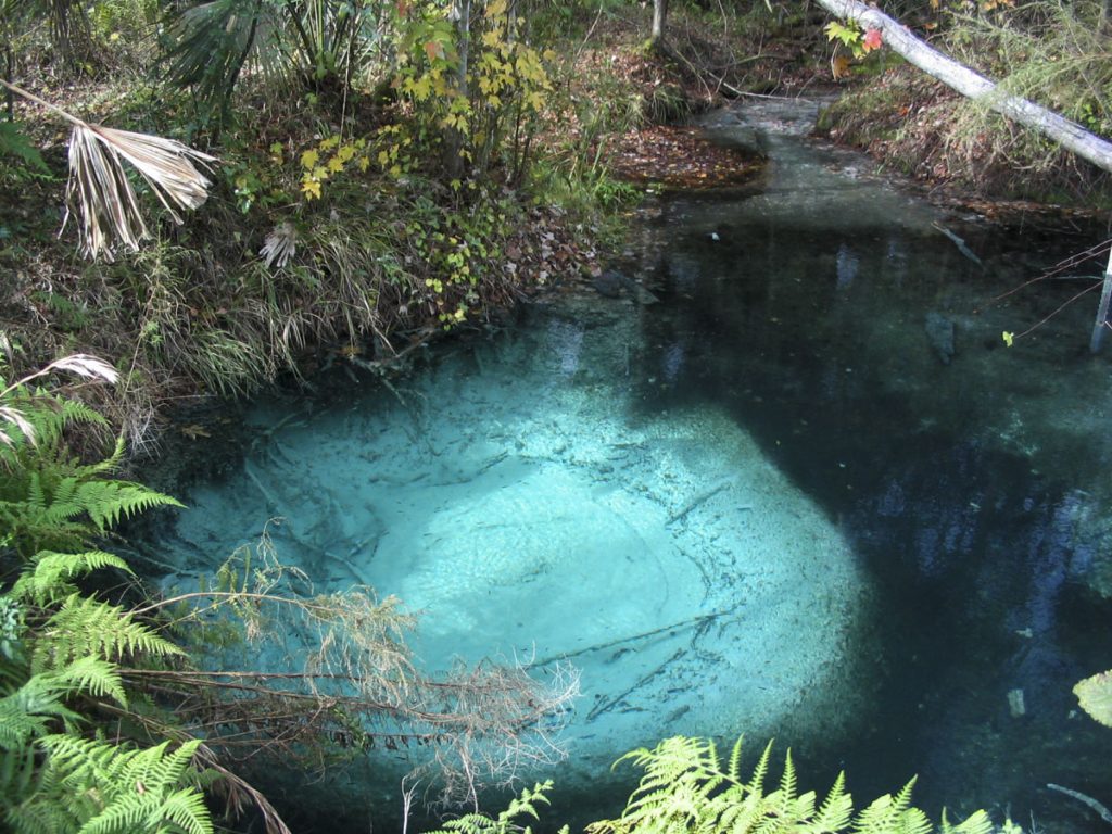 Sulphur Spring in Orange County Sulphur Spring in Orange County