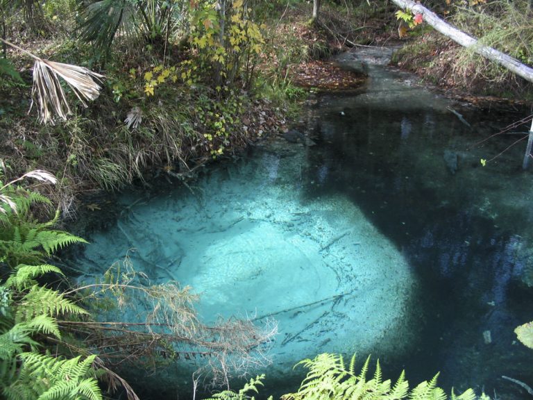 Sulphur Spring Color Sulphur Spring – SJRWMD