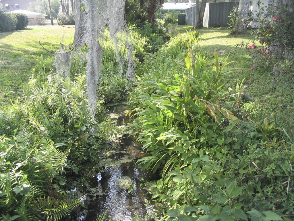 Sun Eden Spring Run in Lake County