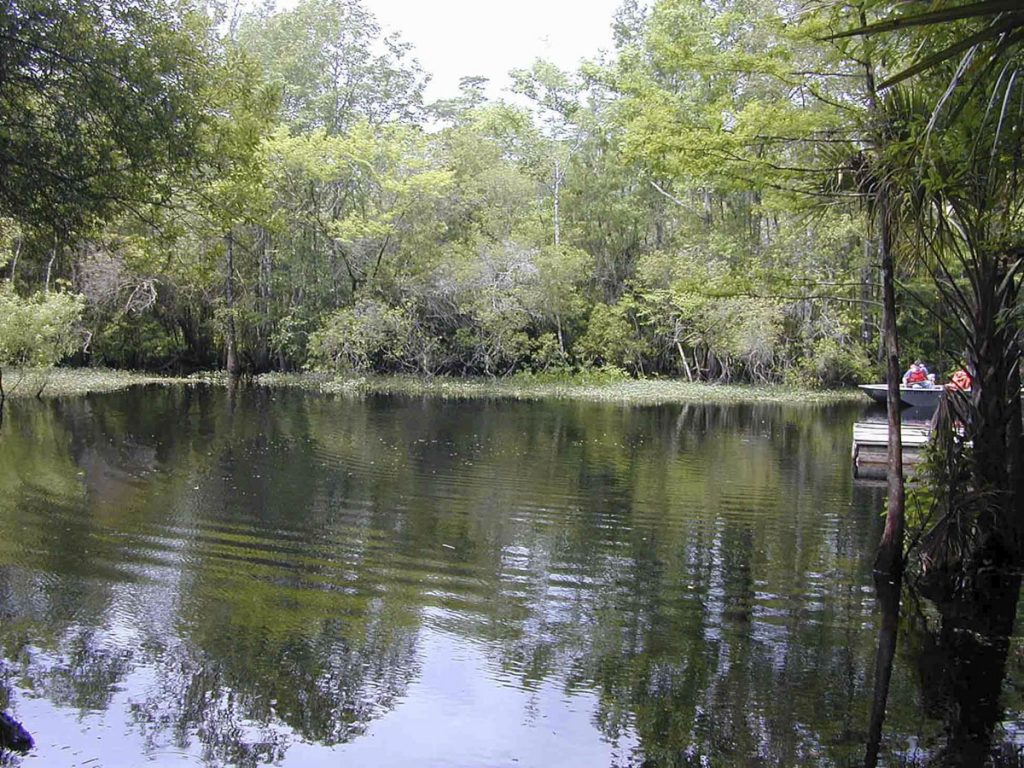 Tobacco Patch Landing Springs Tobacco Patch Landing Springs in Marion County