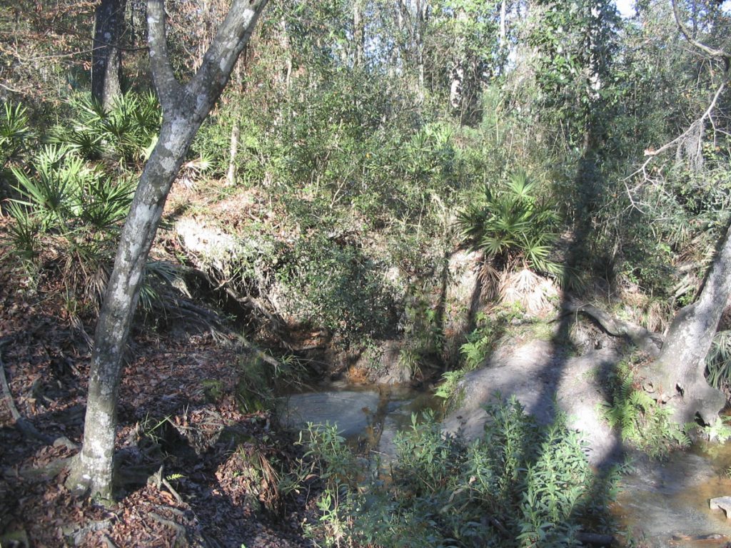 W.W. Gay Spring W.W. Gay Spring in Clay County