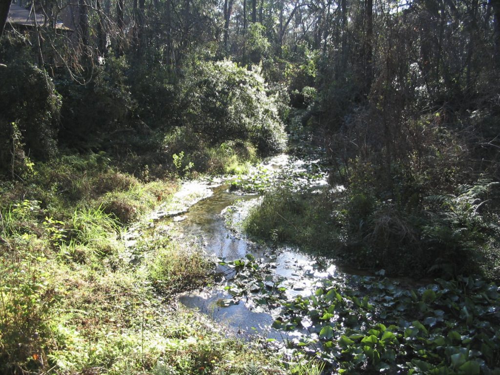 Wadesboro Spring in Clay County Wadesboro Spring in Clay County