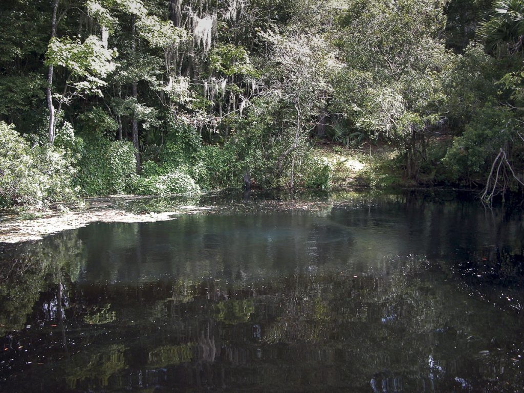 Welaka Spring Welaka Spring in Putnam County