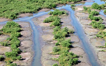 Dragline ditch restoration