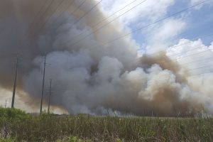 Large smoke plume from a wildfire in Brevard County