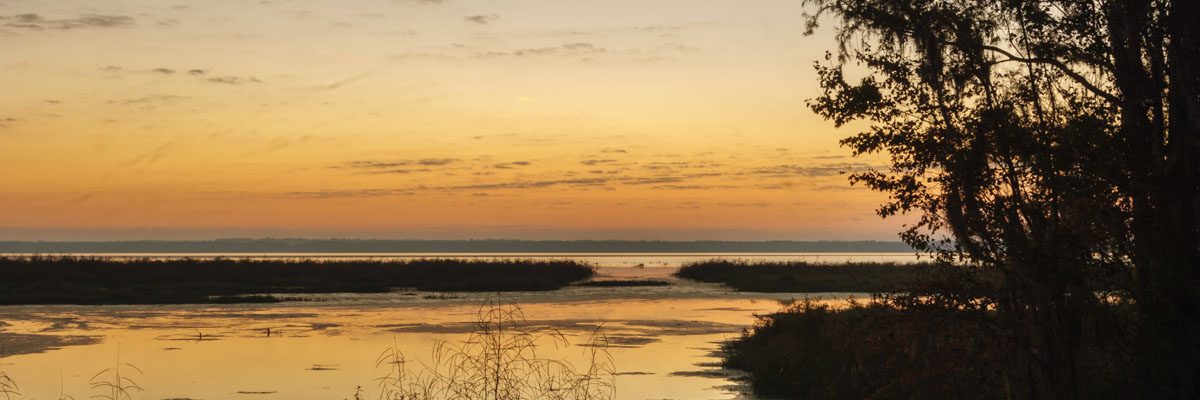 Sunrise at Newnans Lake