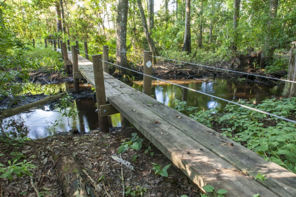 Foot bridge at Dunns Creek Conservation Area