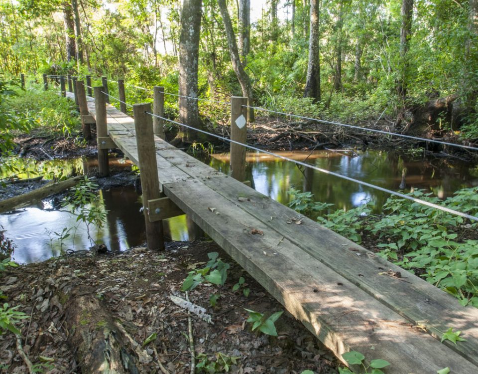 Foot bridge at Dunns Creek Conservation Area