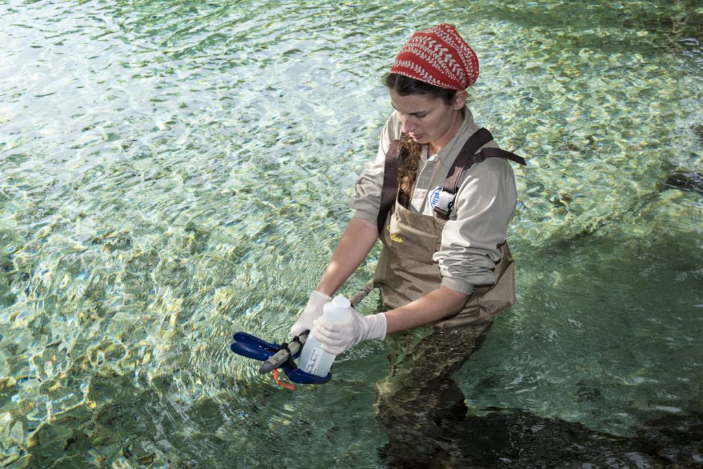 Water Quality Monitoring District staff collecting water samples at Silver Glen Springs