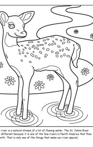 St. Johns River coloring sheet number 2