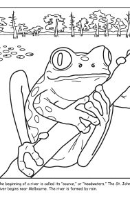 St. Johns River coloring sheet number 3