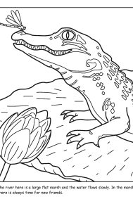 St. Johns River coloring sheet number 4