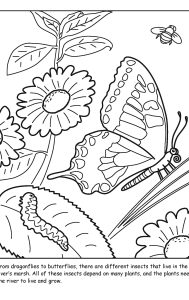 St. Johns River coloring sheet number 6