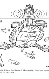 St. Johns River coloring sheet number 7