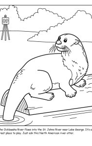 St. Johns River coloring sheet number 10