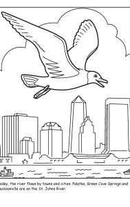 St. Johns River coloring sheet number 12