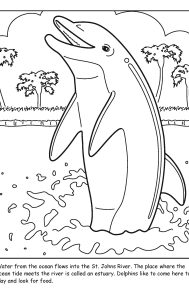 St. Johns River coloring sheet number 14
