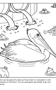 St. Johns River coloring sheet number 17