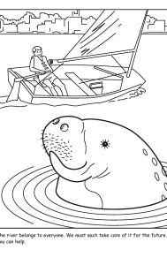 St. Johns River coloring sheet number 18