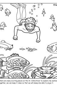 St. Johns River coloring sheet number 19