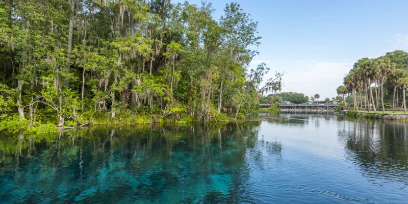 Silver Springs Group Silver Springs Group