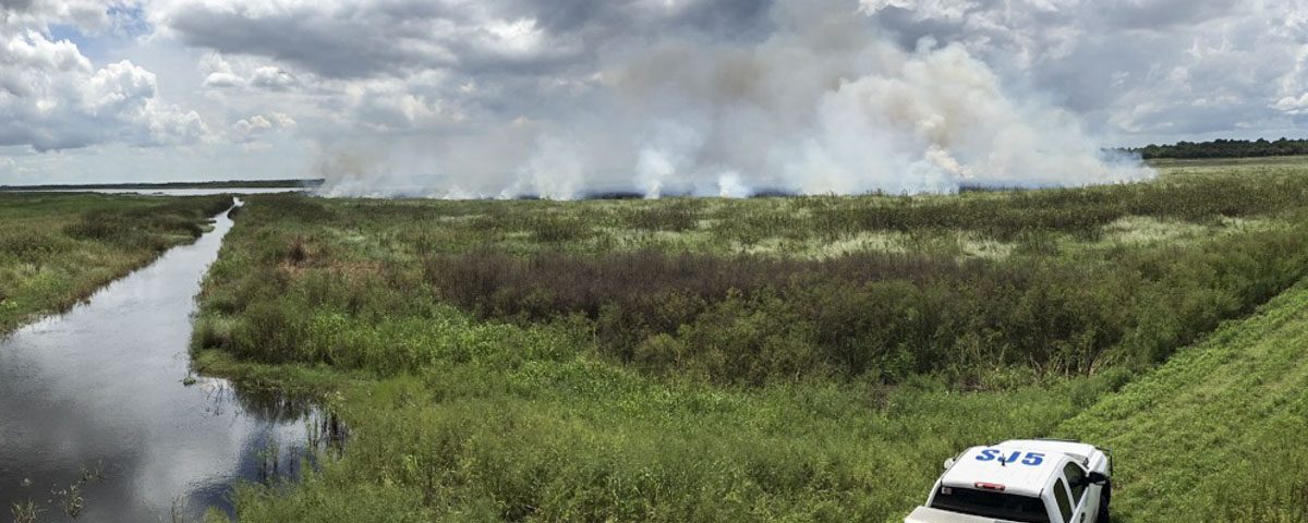 Fire burning in an open marsh
