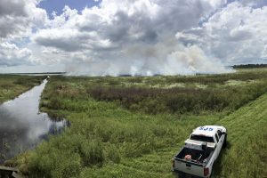 Fire burning in an open marsh