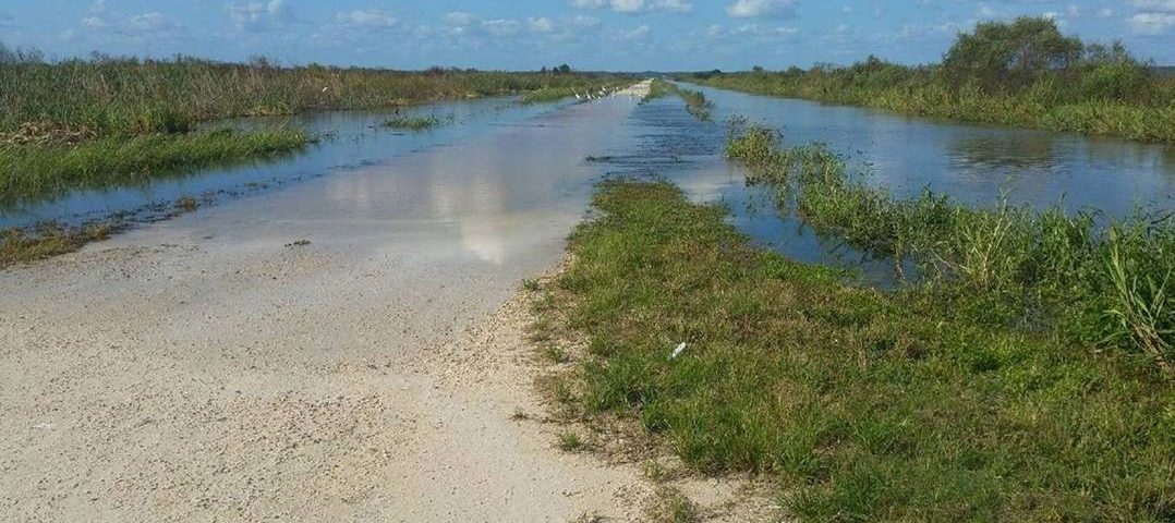 Flooding of the Lake Apopka Wildlife Drive