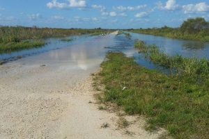 Flooding of the Lake Apopka Wildlife Drive