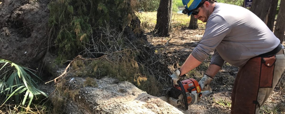District staff member cutting up a fallen tree