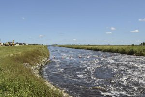 C-54 canal on the border of Brevard and Indian River counties