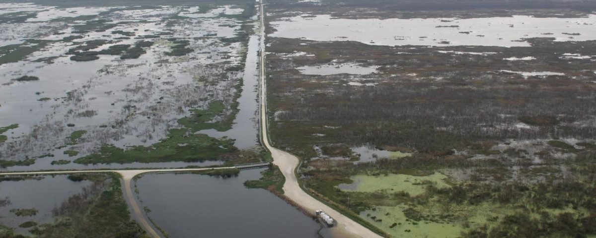 Aerial of the Lake Apopka North Shore after Hurricane Irma