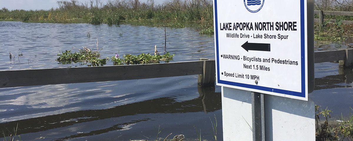 Flooding at the Lake Apopka North Shore Wildlife Drive