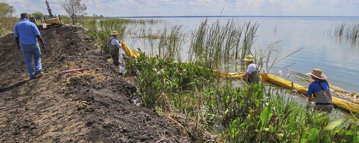 District staff install a floating barrier on the Lake Apopka North Shore