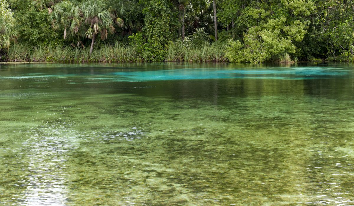 Alexander Springs
