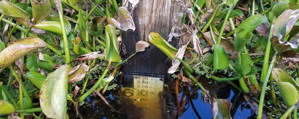 Water level guage under water