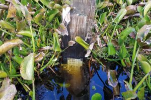 Water level guage under water