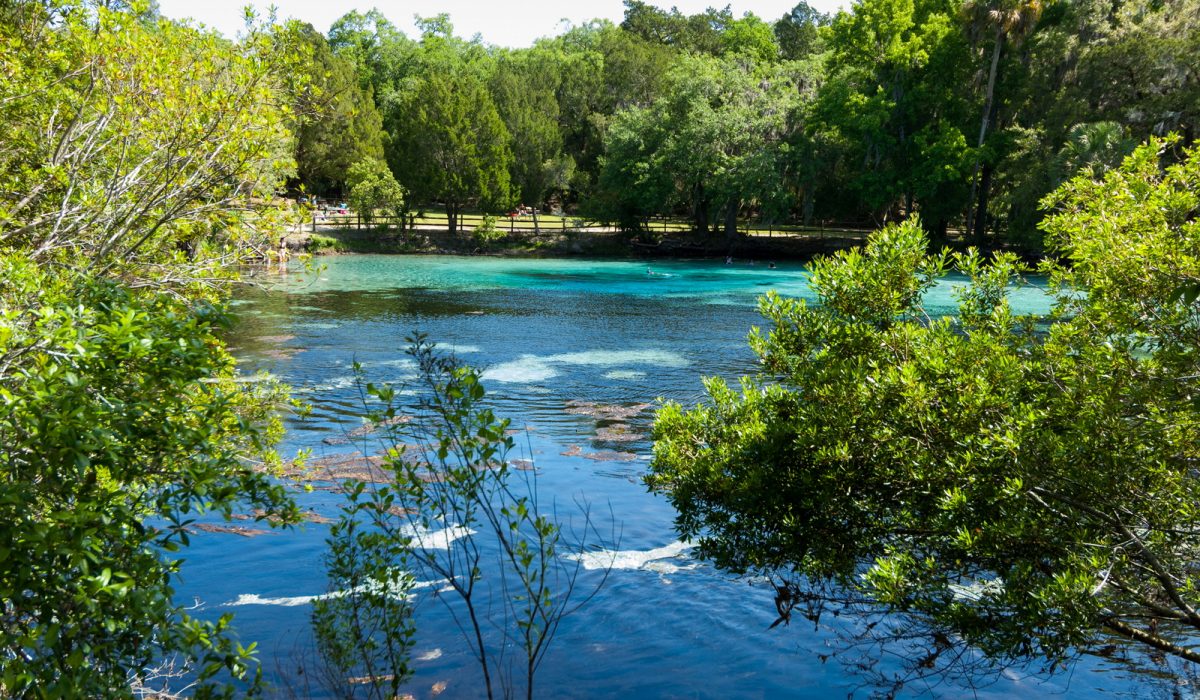 Silver Glen Springs