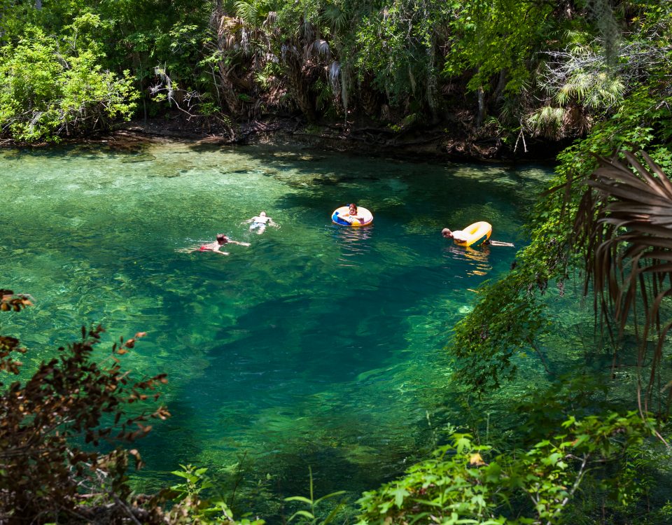 People swimming at Blue Spring