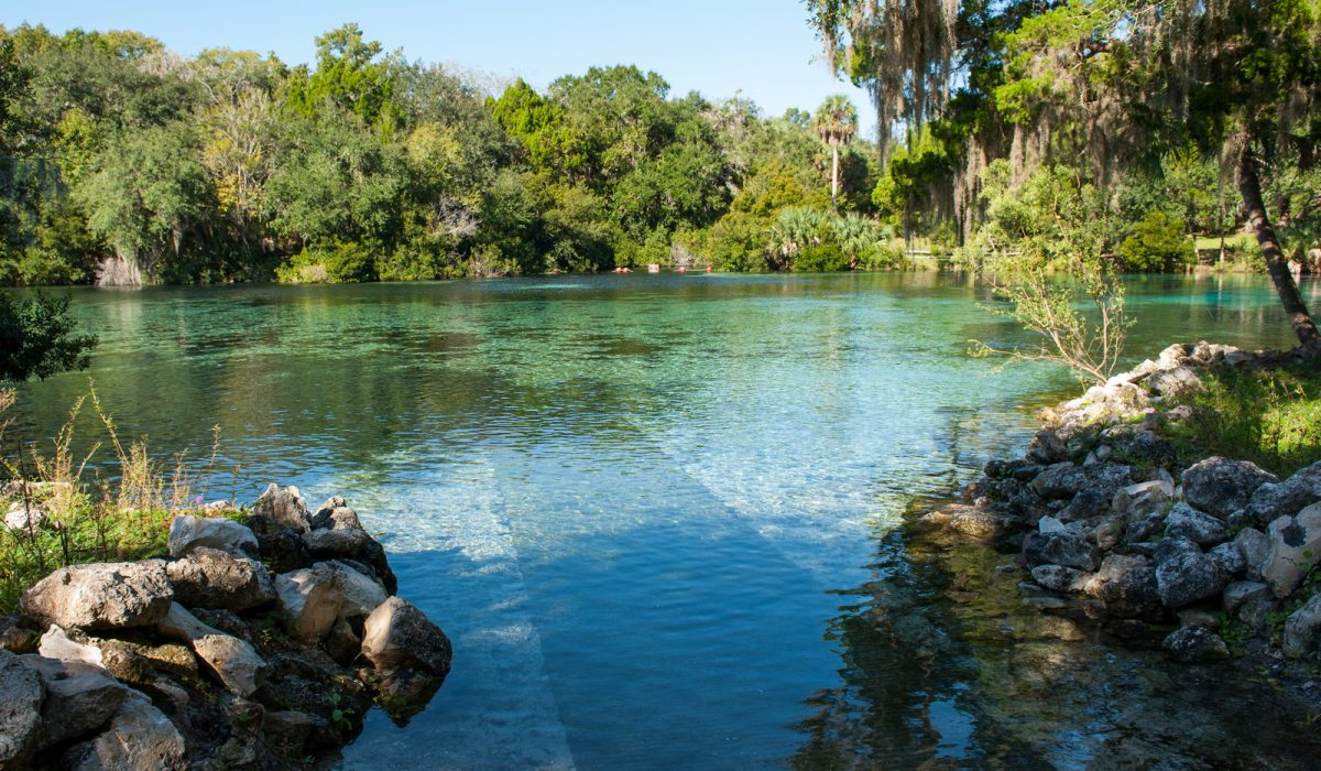 Silver Glen Springs in Marion County