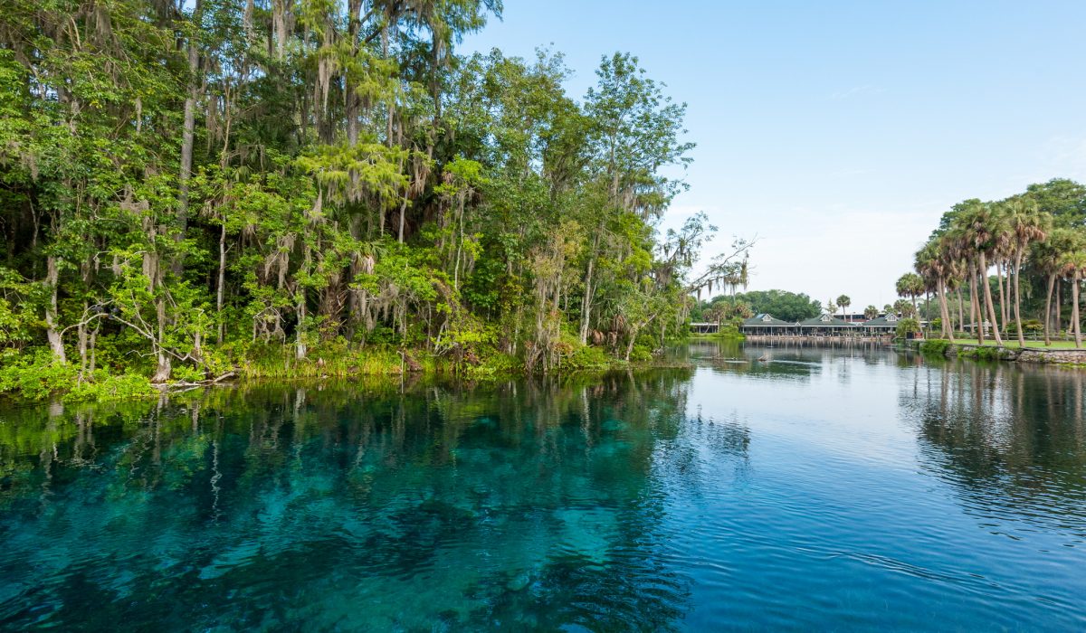 Silver Springs Group