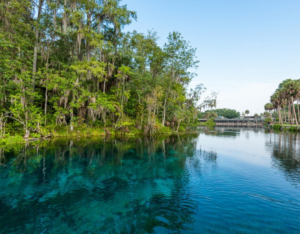 Silver Springs Group