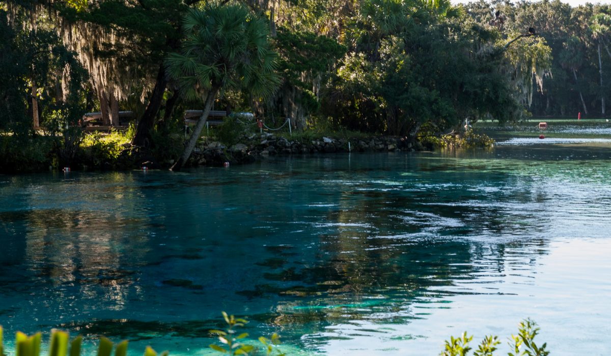 Silver Glen Springs