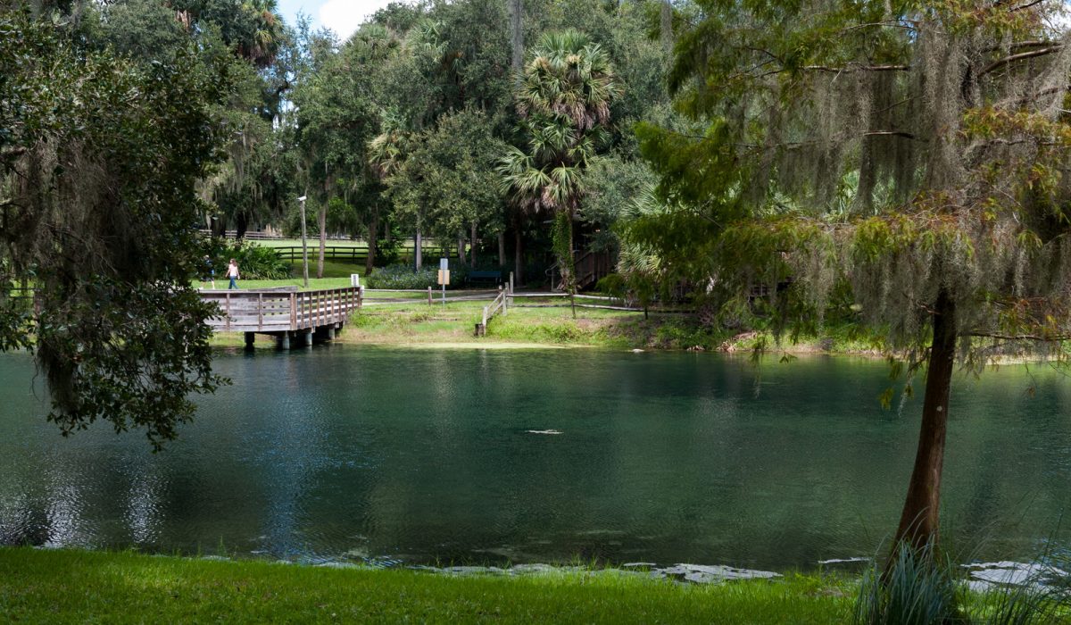 Gemini Springs