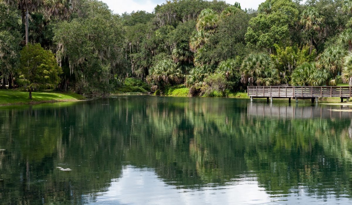 Gemini Springs