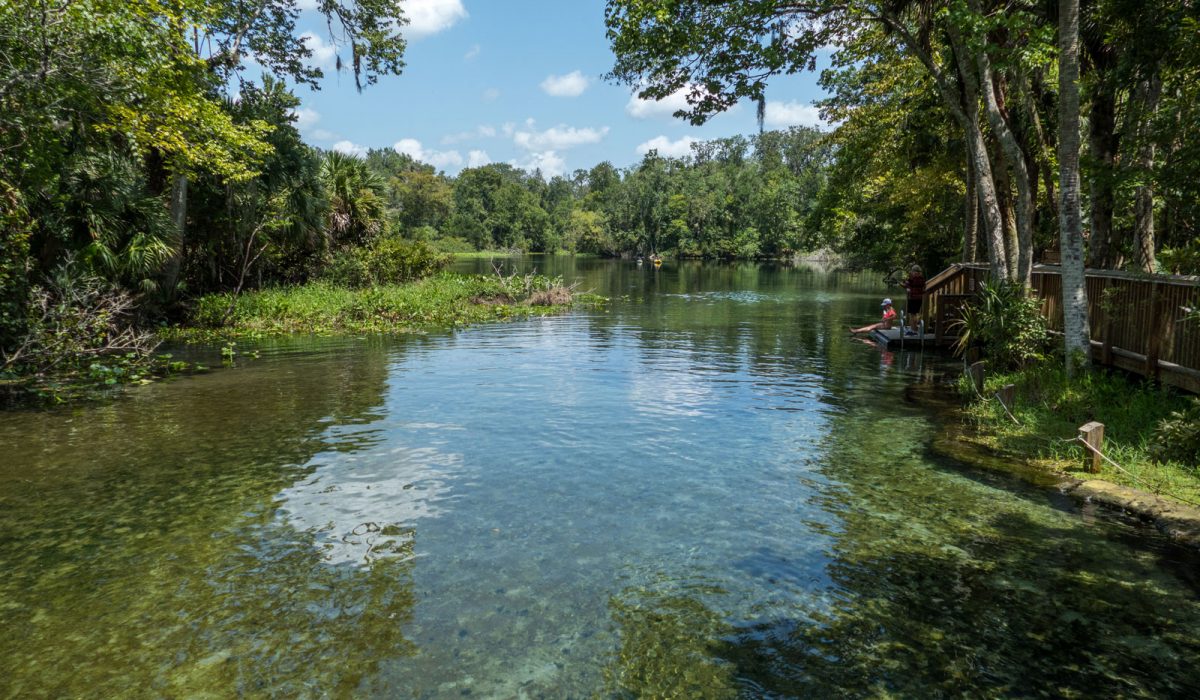 Wekiwa Springs run