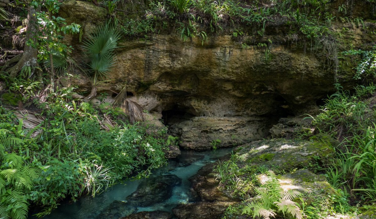 Rock Springs flowing out of a rock bluff