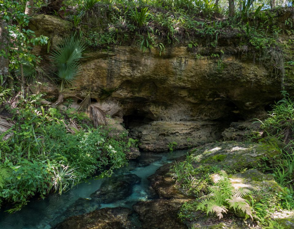 Rock Springs flowing out of a rock bluff