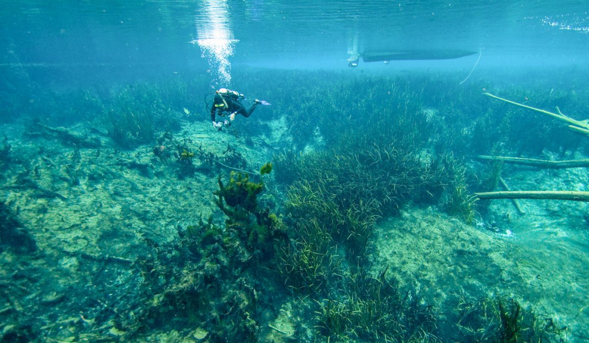 Scuba diver at Christmas Tree Spring